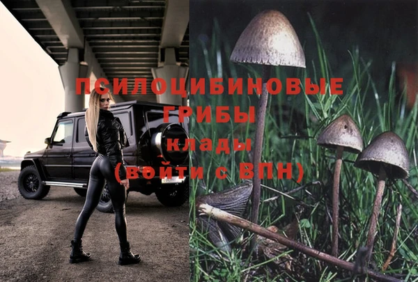 дмт Алексеевка