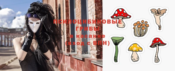 дмт Алексеевка